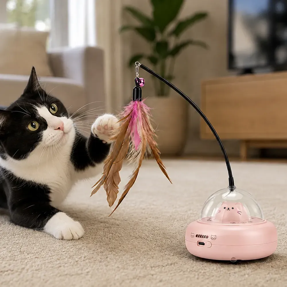 Cat playing with the automatic feather and laser toy