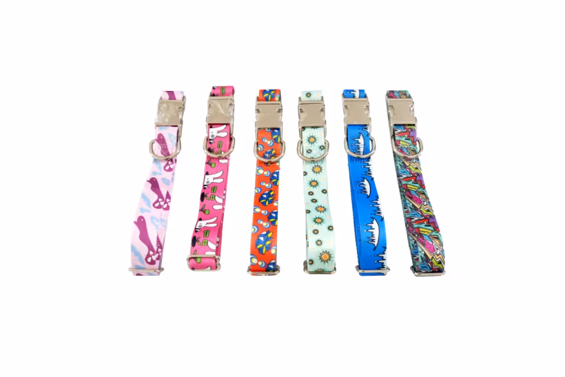 Six custom printed dog collars with metal quick-release buckles for private label programs