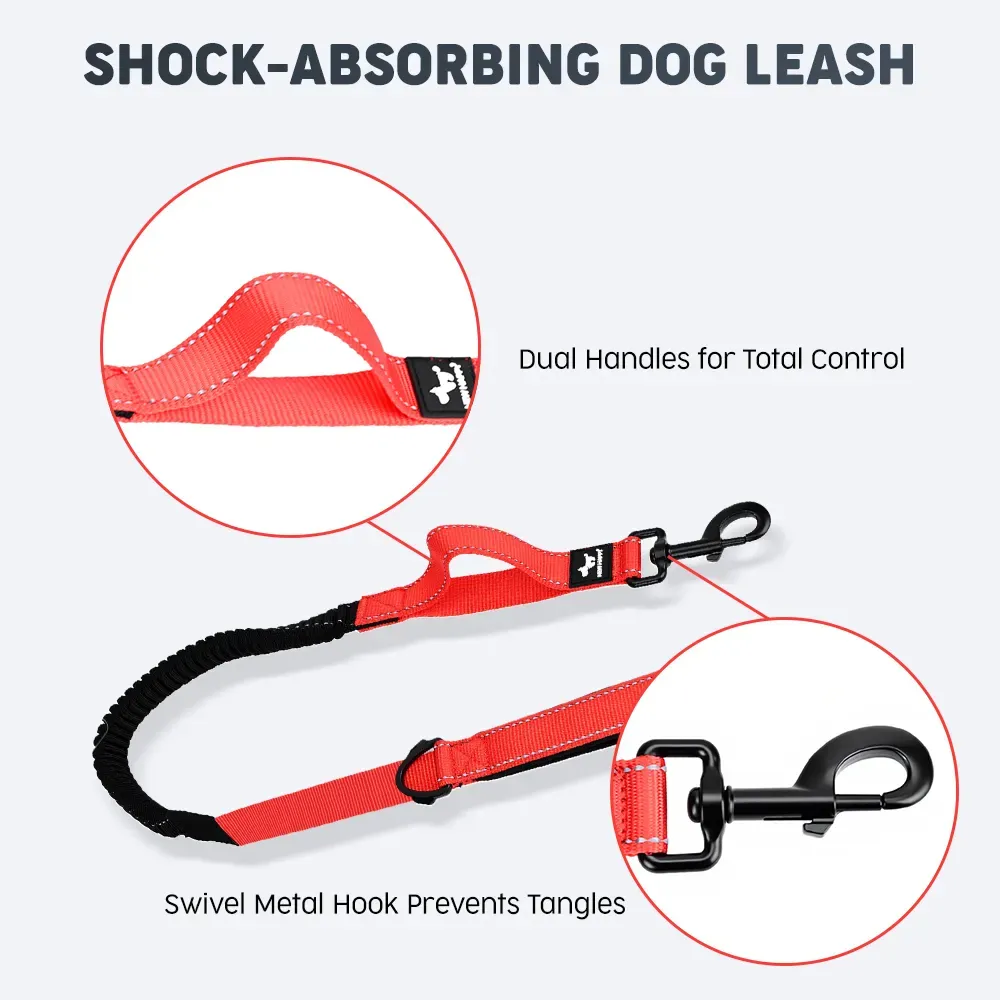 Bungee leash with two control handles for everyday and close-range control
