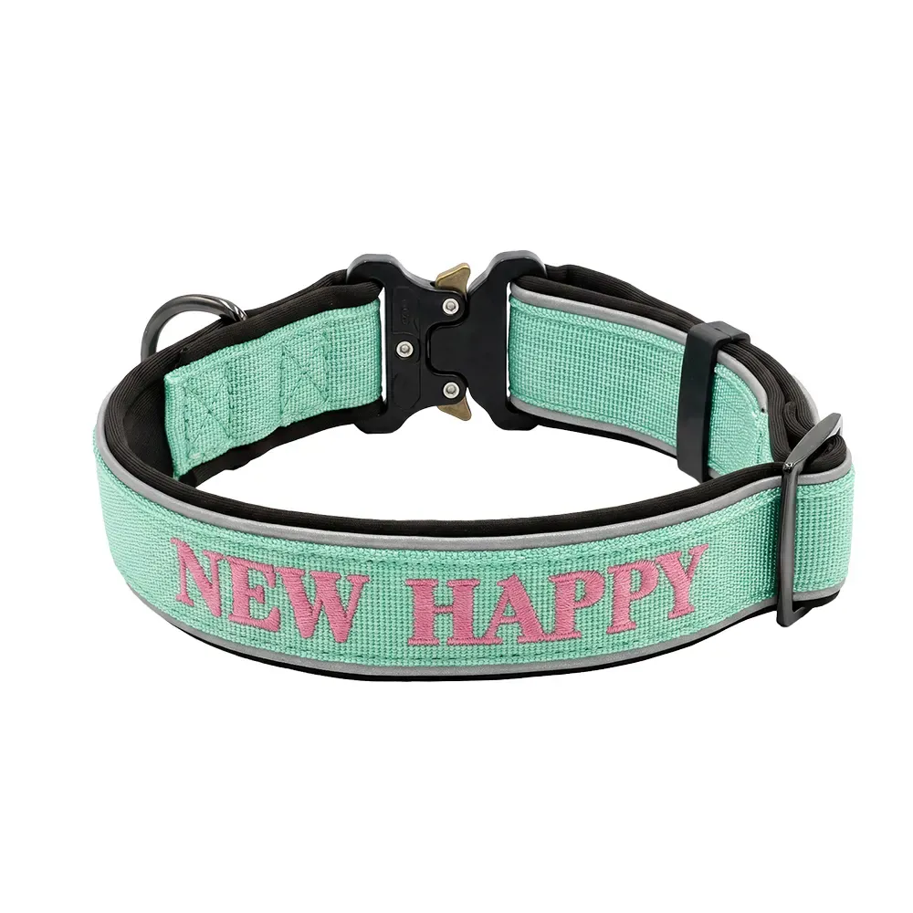 Mint green padded nylon dog collar with custom embroidered text and tactical buckle