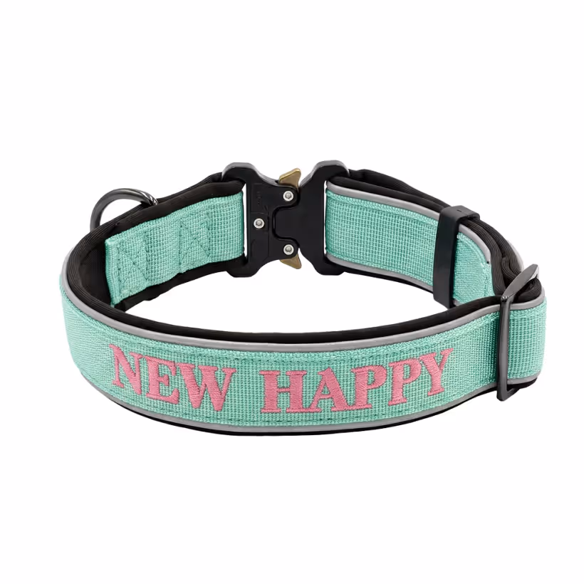 Mint green padded nylon dog collar with custom embroidered text and tactical buckle
