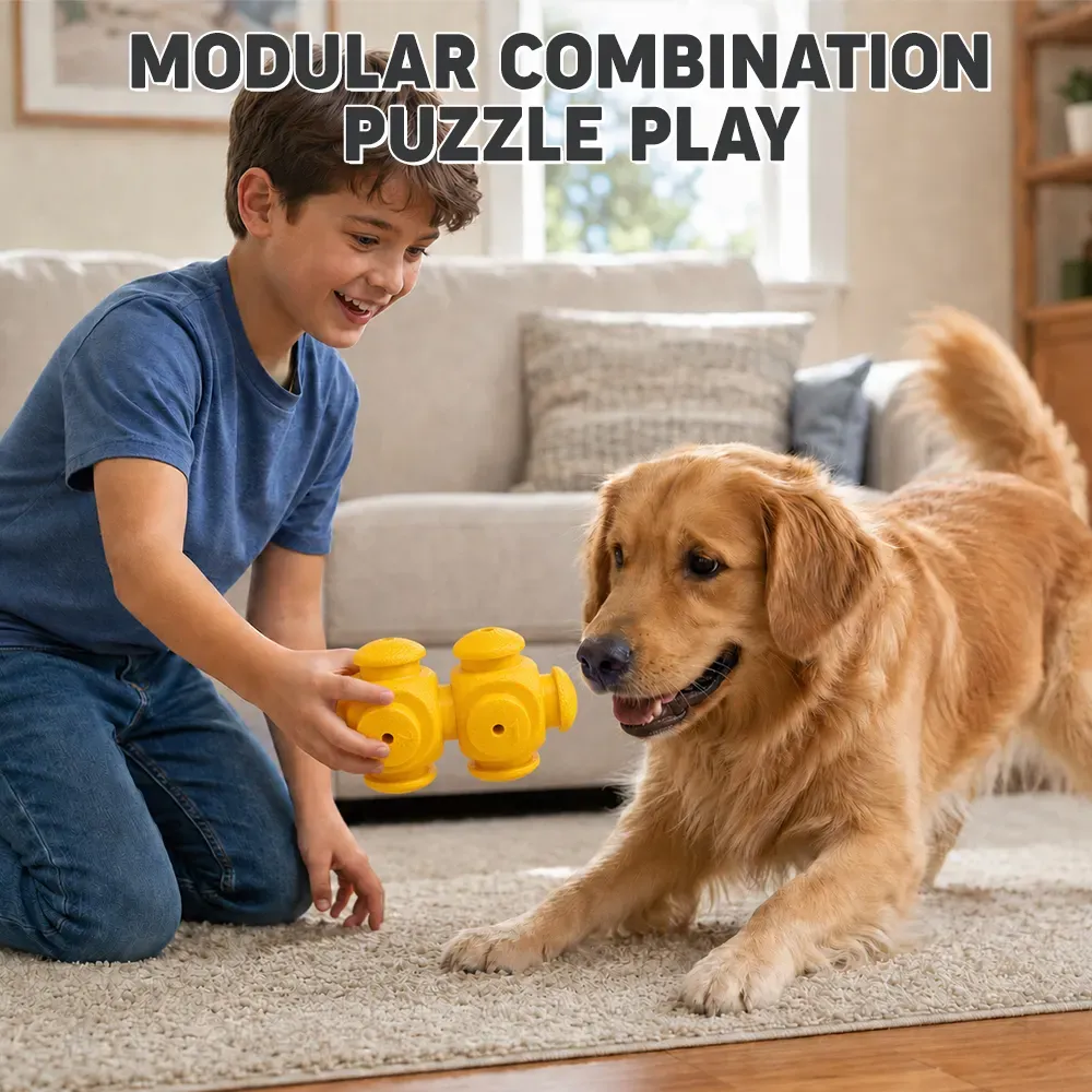 Boy and golden retriever playing with the modular puzzle toy