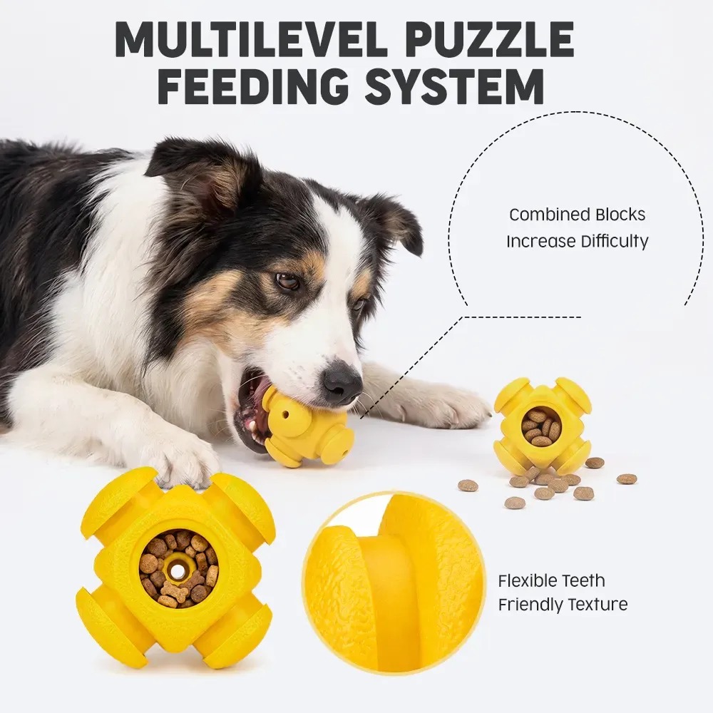 Multilevel puzzle feeding with interlocking blocks and a dog
