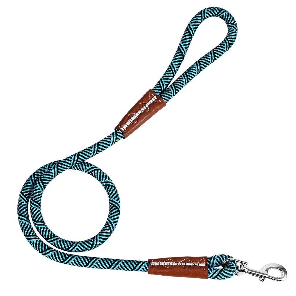 Teal braided rope dog leash with brown leather accents and polished hook