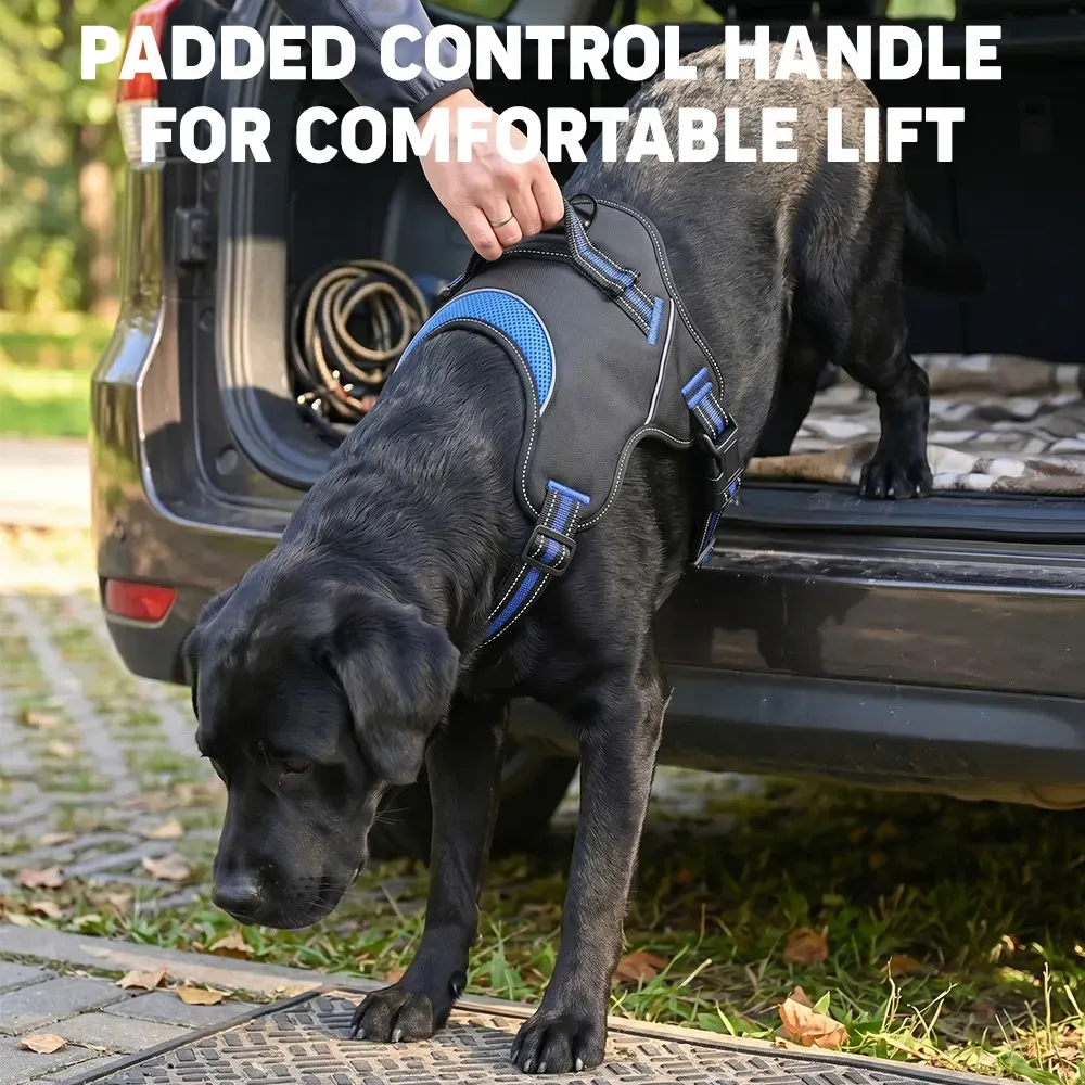 Owner lifting a black Labrador into a car using the padded harness handle