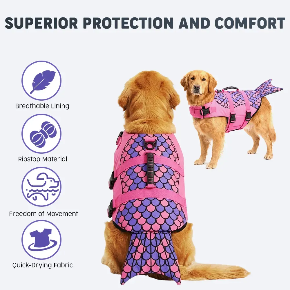 Golden retriever wearing the life jacket, showing protection and comfort