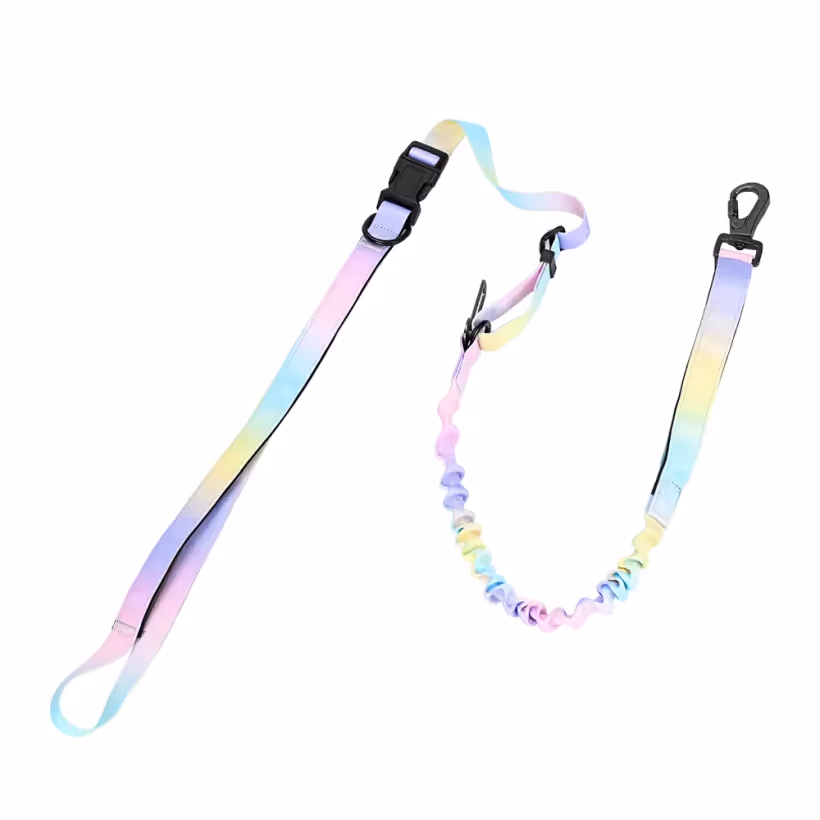 Rainbow ombre printed bungee dog leash with padded handles and car clip
