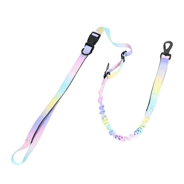 Rainbow ombre printed bungee dog leash with padded handles and car clip