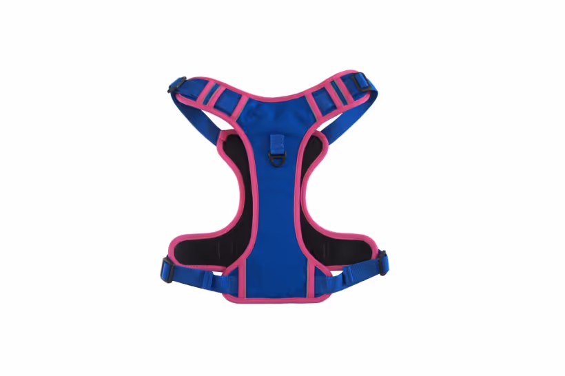 Blue padded no-pull dog harness with pink binding, reflective trim and metal D-ring