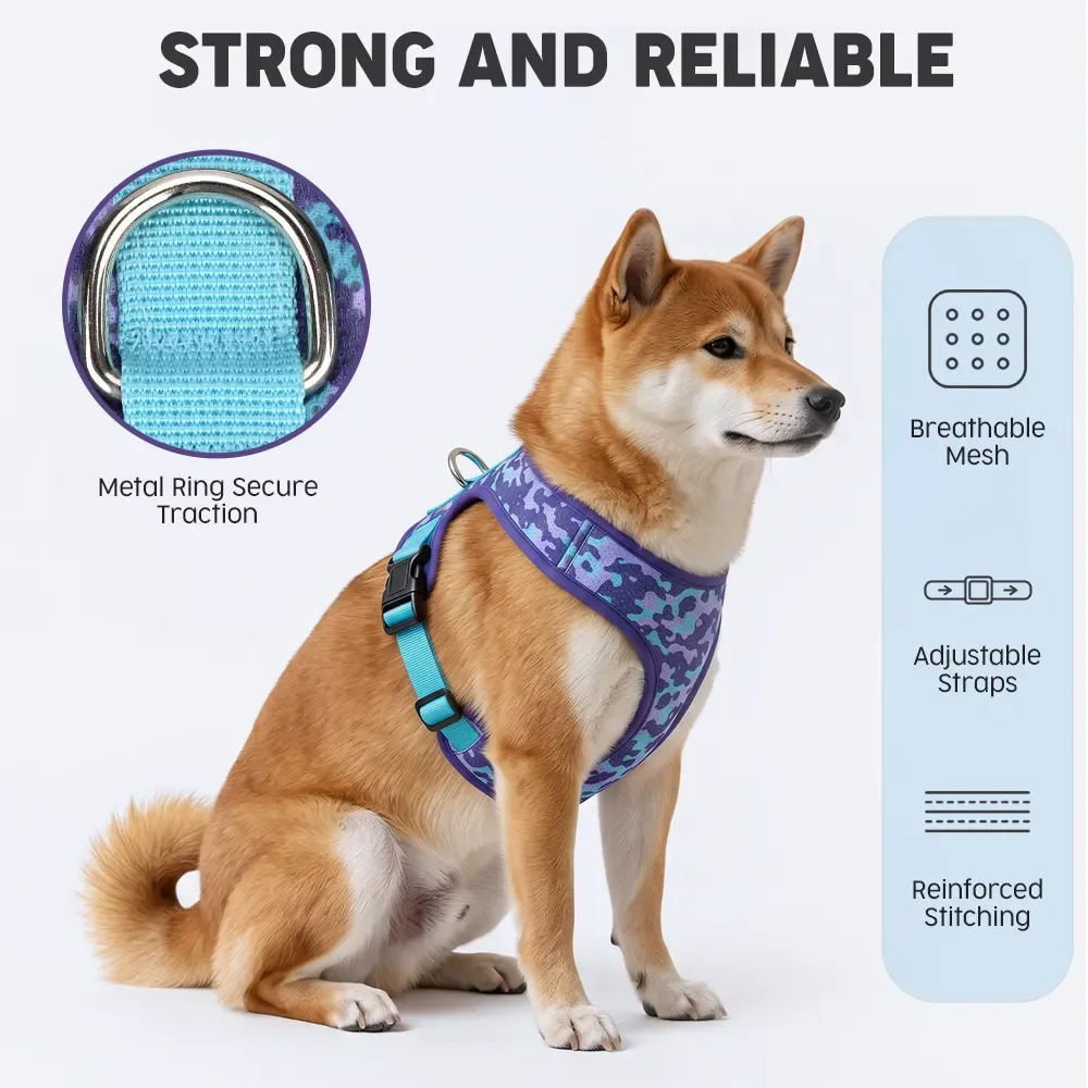 Shiba Inu wearing the printed mesh vest harness