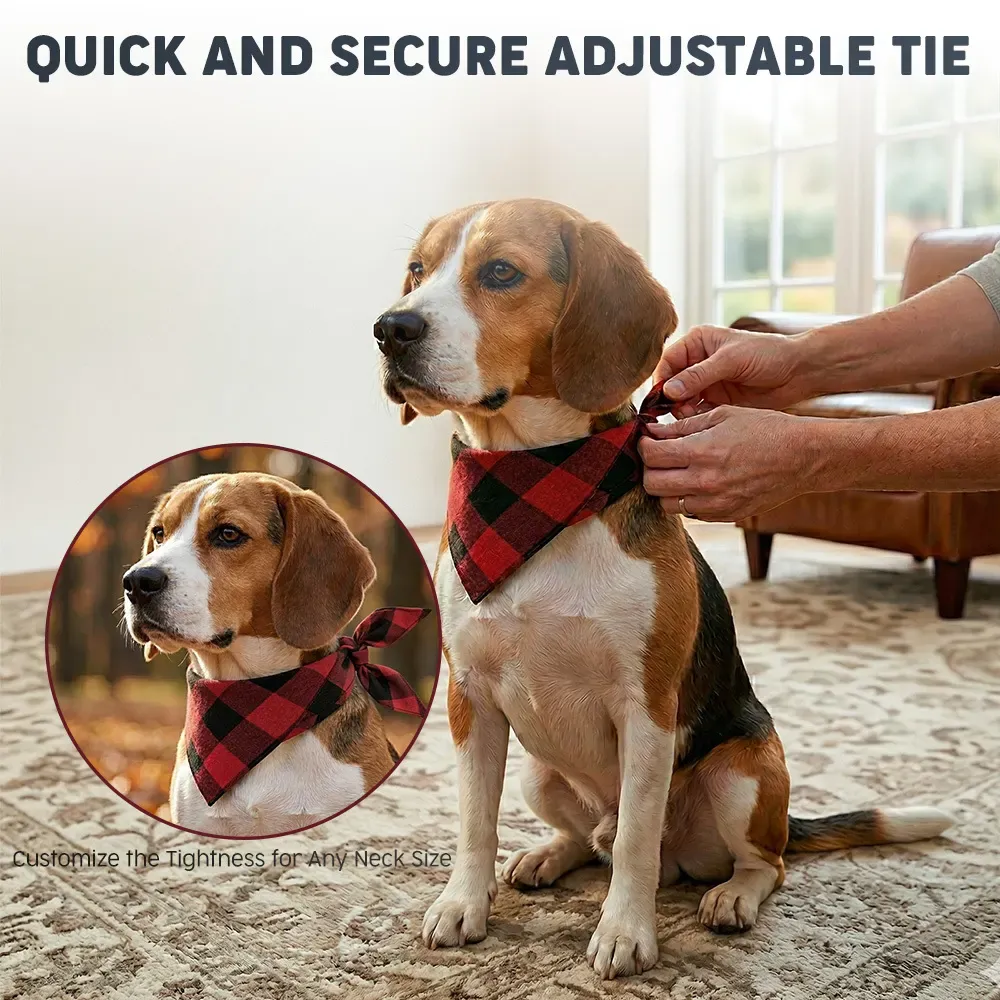 Beagle wearing the plaid bandana, showing the tie adjustment