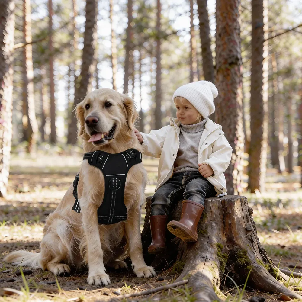 Golden retriever sitting with a child in the woods wearing the tactical harness