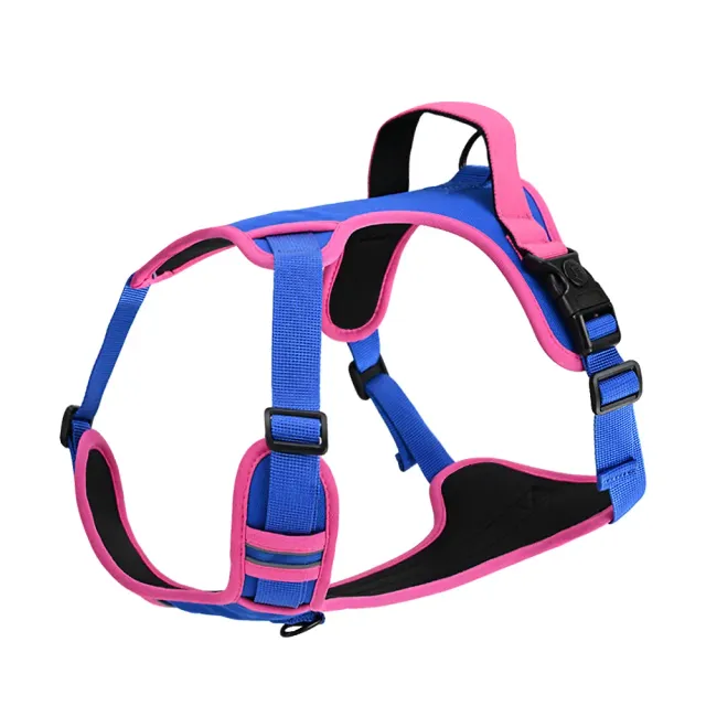Sky blue and pink two-tone heavy-duty nylon dog harness with padded handle