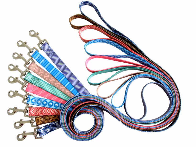 Assorted printed webbing dog leashes with metal snap hooks for wholesale ranges