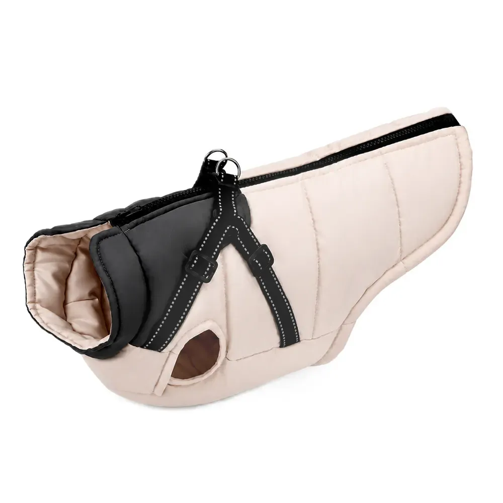 Cream padded winter dog coat with built-in black harness straps