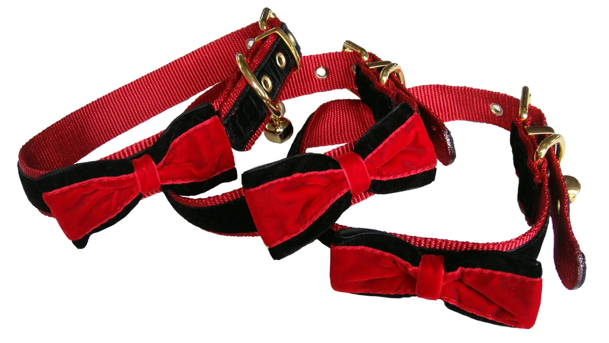 Personalized dog collar bulk supply with laser-engraved metal buckle