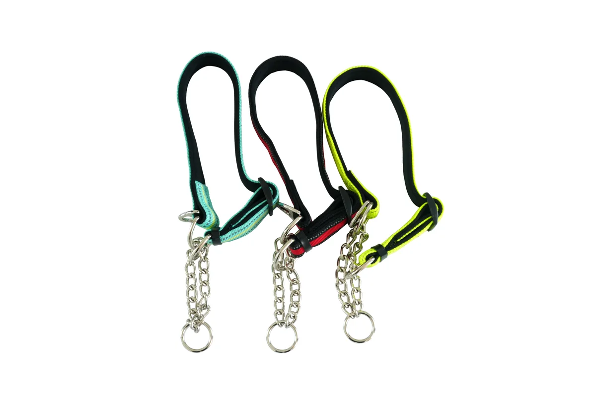 Printed nylon dog collars wholesale thermal dye sublimation custom art collar
