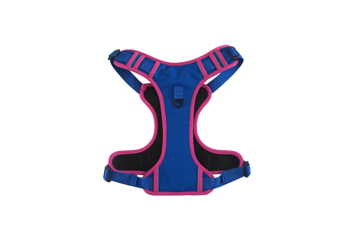 Padded no pull dog harness factory dual leash attachment points for walking training