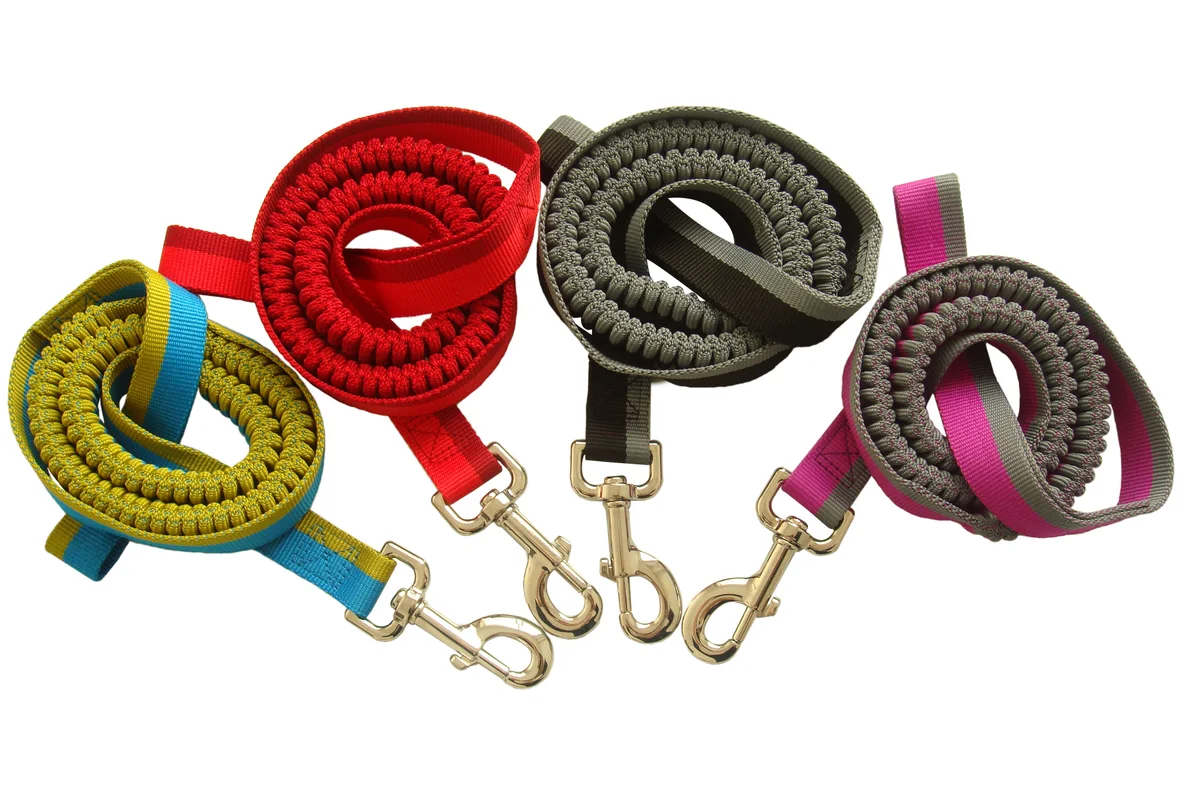 Custom dog leashes wholesale waterproof odor-free mudproof adventure leash